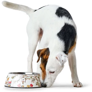 Kép 2/3 - Hunter Mogami Melamin kutyatál