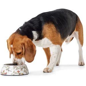 Kép 3/3 - Hunter Mogami Melamin kutyatál