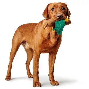 Kép 4/12 - Hunter Florenz Plüssállat kutyáknak - Méhecske