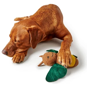 Kép 5/12 - Hunter Florenz Plüssállat kutyáknak - Méhecske