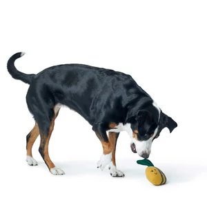 Kép 3/6 - Hunter Florenz Plüssállat kutyáknak - Pufiméh