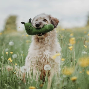 Kép 3/5 - Hunter Florenz Plüssállat kutyáknak - Kukac