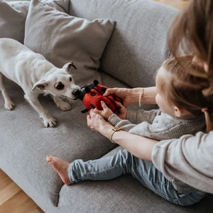 Kép 7/8 - Hunter Florenz Plüssállat kutyáknak - katica