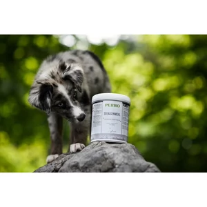 Kép 2/2 - PERRO Barna Alga