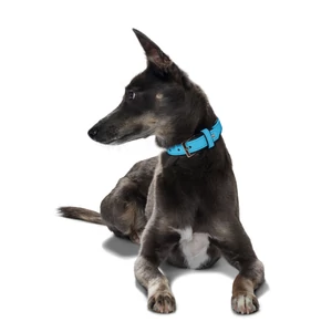 Kép 2/2 - Hunter Softie art-nubuk bőr türkizkék nyakörv - 30 (18-24 cm)