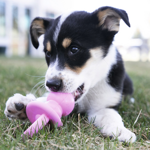 Kép 3/3 - KONG Puppy Binkie (cumi) kutyajáték kék - S