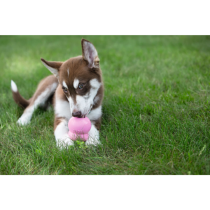 Kép 2/4 - KONG Puppy Kutyajáték rózsaszín - M : 9cm