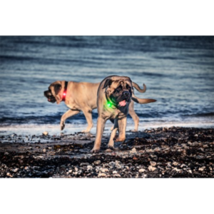 Kép 5/6 - Orbiloc Dog Dual Világító Biztonsági Medál kutyáknak és gazdiknak - Piros