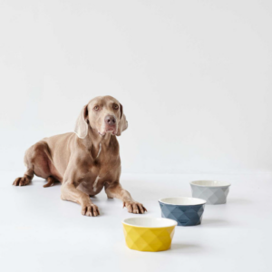 Kép 9/10 - Hunter Eiby kerámia kutyatál sárga - 1900 ml