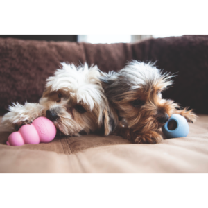 Kép 3/4 - KONG Puppy Kutyajáték rózsaszín - S : 8cm