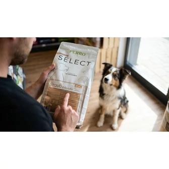 Miért számít igazán, honnan származik a fehérje a kutyatápban?