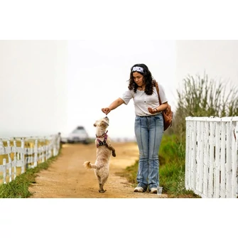 Tréning és jutalmazás diéta mellett: a hipoallergén jutalomfalat szerepe az oktatásban