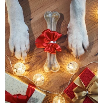 Karácsonyi kutyatáp ajánló - Lepd meg kedvenced az ünnepekre!