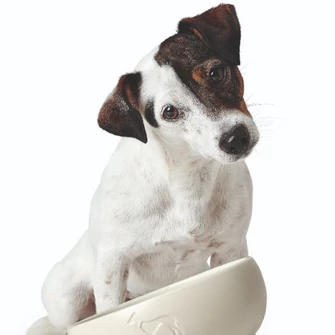 GYAKORI KÉRDÉSEK– TÁPOK