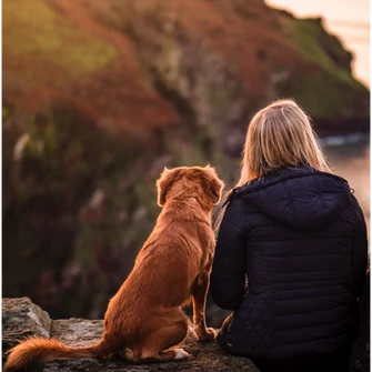 A KUTYÁINK KÖRÜLI „LÁTHATATLAN MUNKA”